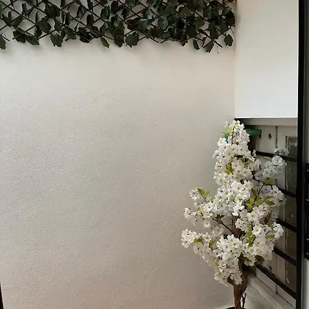 Dream Recova * Santa Cruz de Tenerife