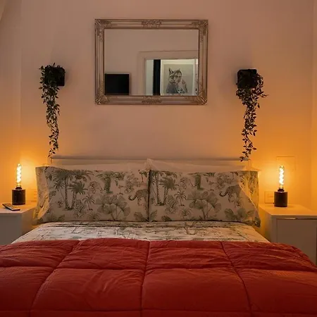 Dream Recova * Santa Cruz de Tenerife