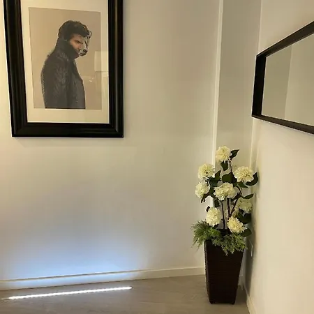 Apartment Dream Recova Santa Cruz de Tenerife