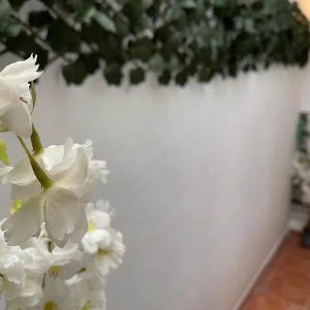 Dream Recova Apartman *