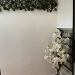 Dream Recova * Σάντα Κρουζ Τενερίφης